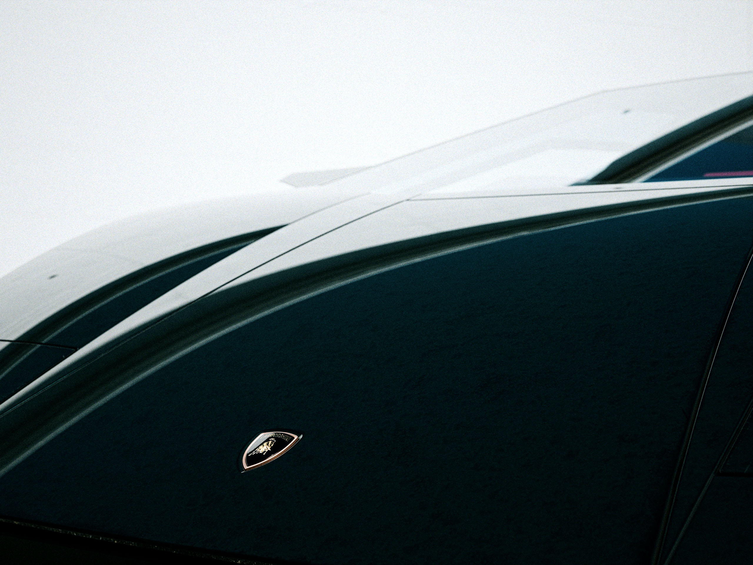 BELLEZZA_GRADED_AT_001__1.63.1