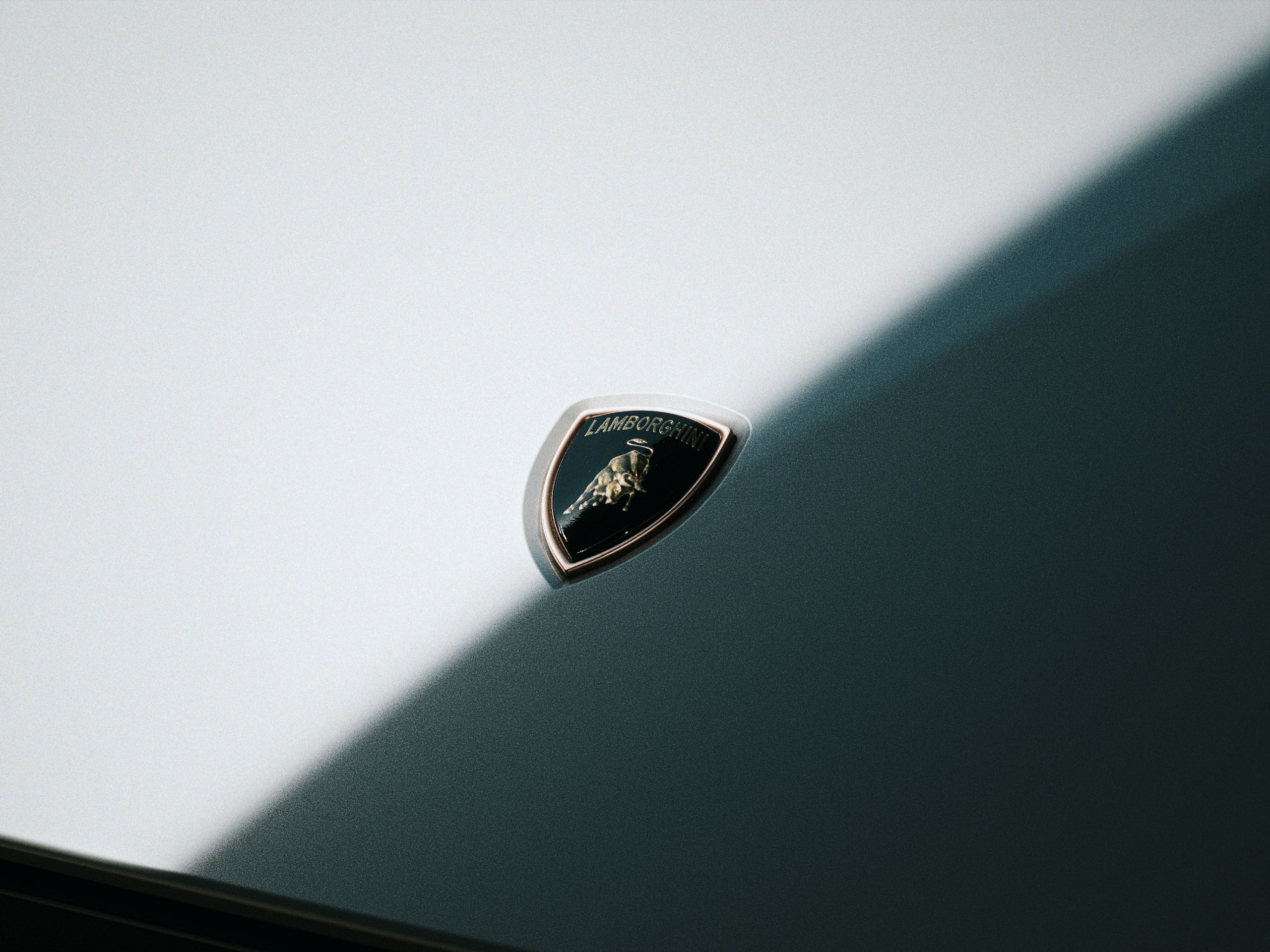 BELLEZZA_GRADED_AT_001__1.79.1